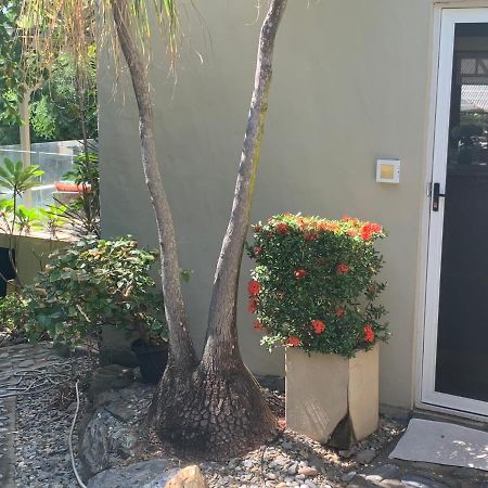 Beachfront Dolphin Cabin Oak Beach Exterior photo